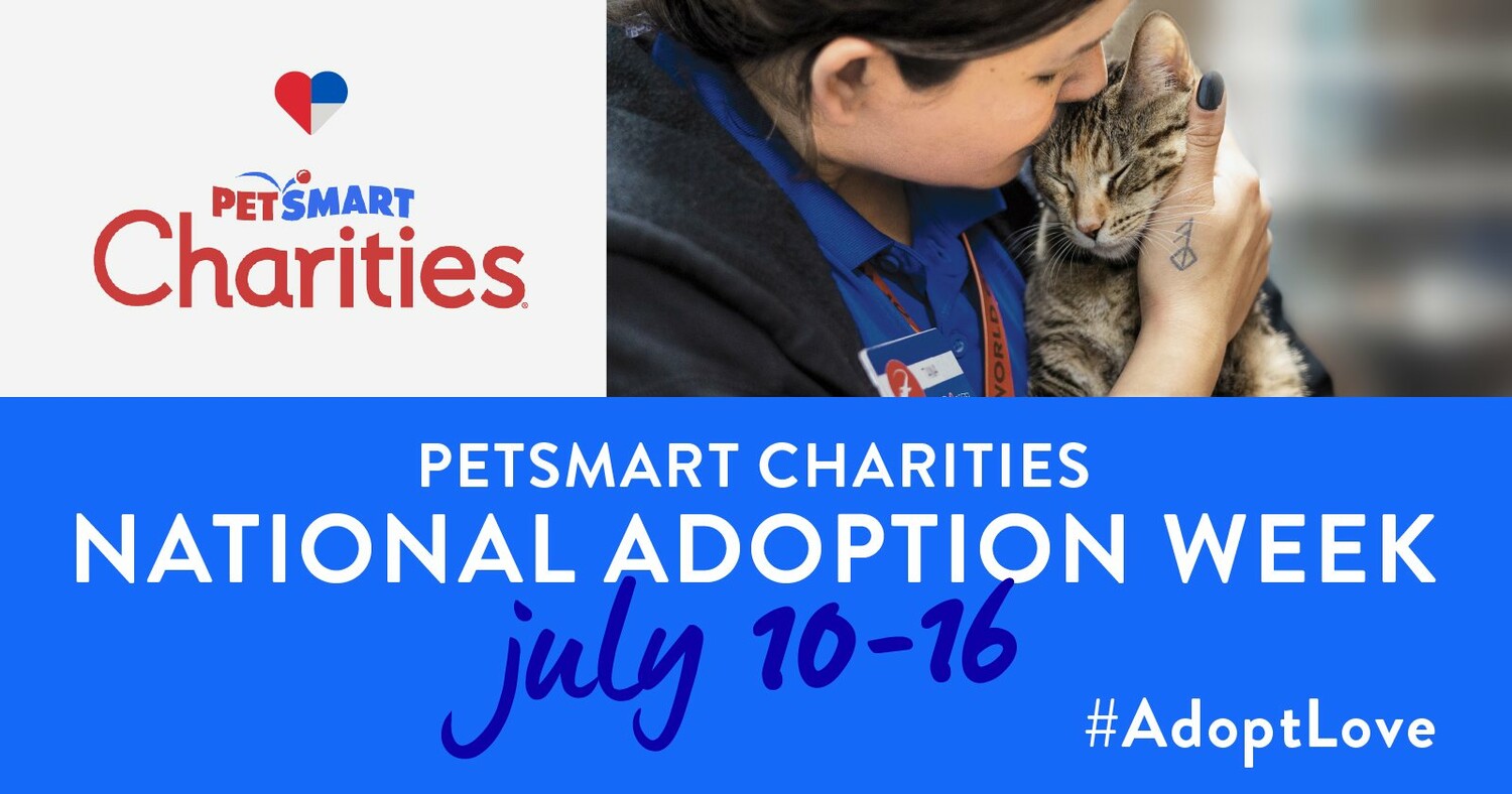 Petsmart National Adoption Event Blue Stone Press